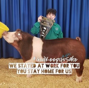 Meet your Posher, Nicki